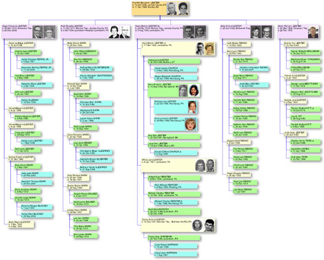 семейное дерево в Reunion Reunion tree
