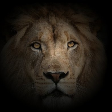 Новинки в OS X Lion Developer Preview 4