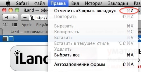 Safari 5: Отмена закрытия последней вкладки